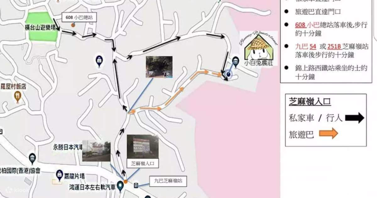 [부모와 자식 활동] Yuen Long Little White Rabbit Farm Bunny Wonderland 클룩